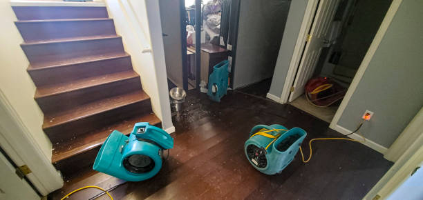 Best Water damage mitigation services  in Cerro Gordo, IL