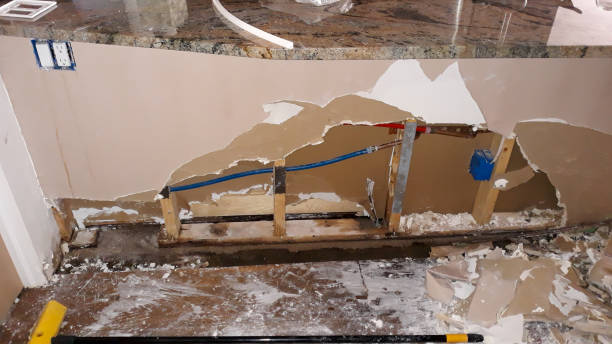 Best Flood damage cleanup  in Cerro Gordo, IL