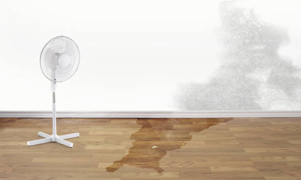 Carpet water damage restoration in Cerro Gordo, IL