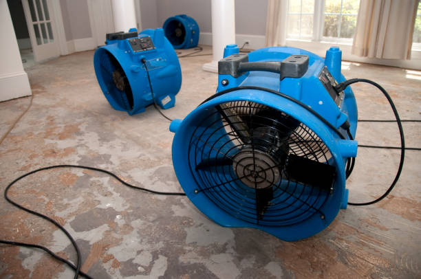 Best Carpet water damage restoration  in Cerro Gordo, IL
