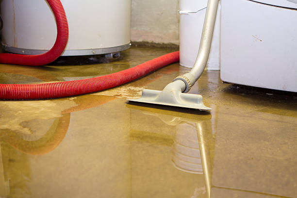 Best Water damage cleanup near me  in Cerro Gordo, IL