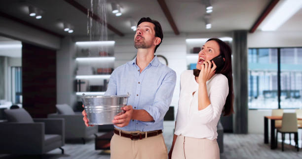 Best Emergency water damage restoration  in Cerro Gordo, IL