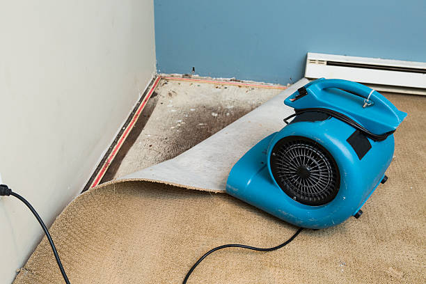Best Flooded house restoration  in Cerro Gordo, IL